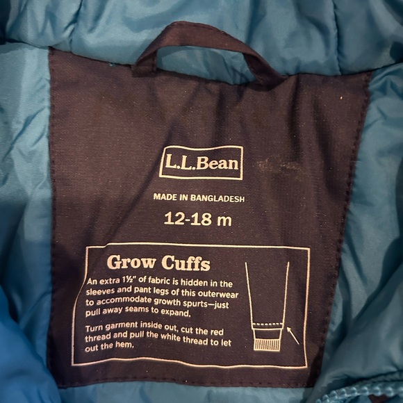 L.L. Bean Teal and Navy Snowsuit - Picture 3 of 4